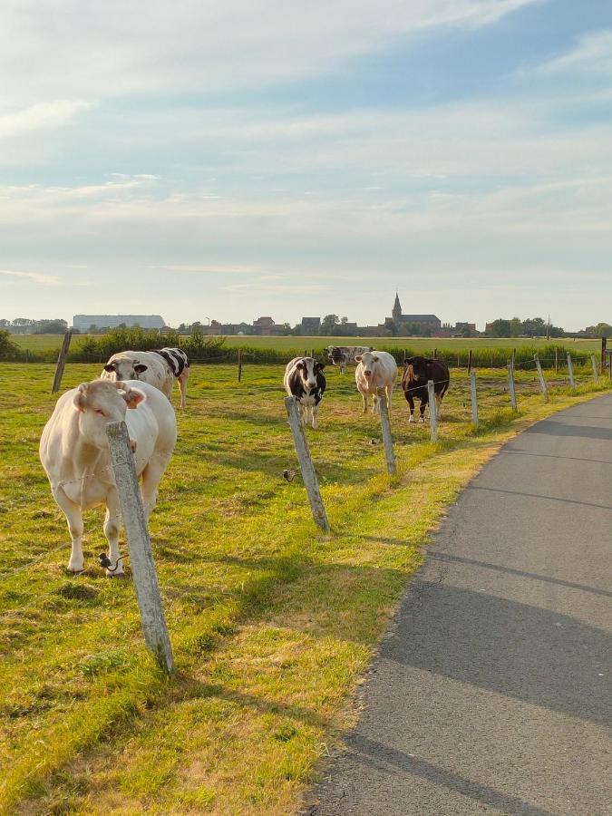 Gastenverblijf Hof Moye Tyt Middelkerke Exterior photo